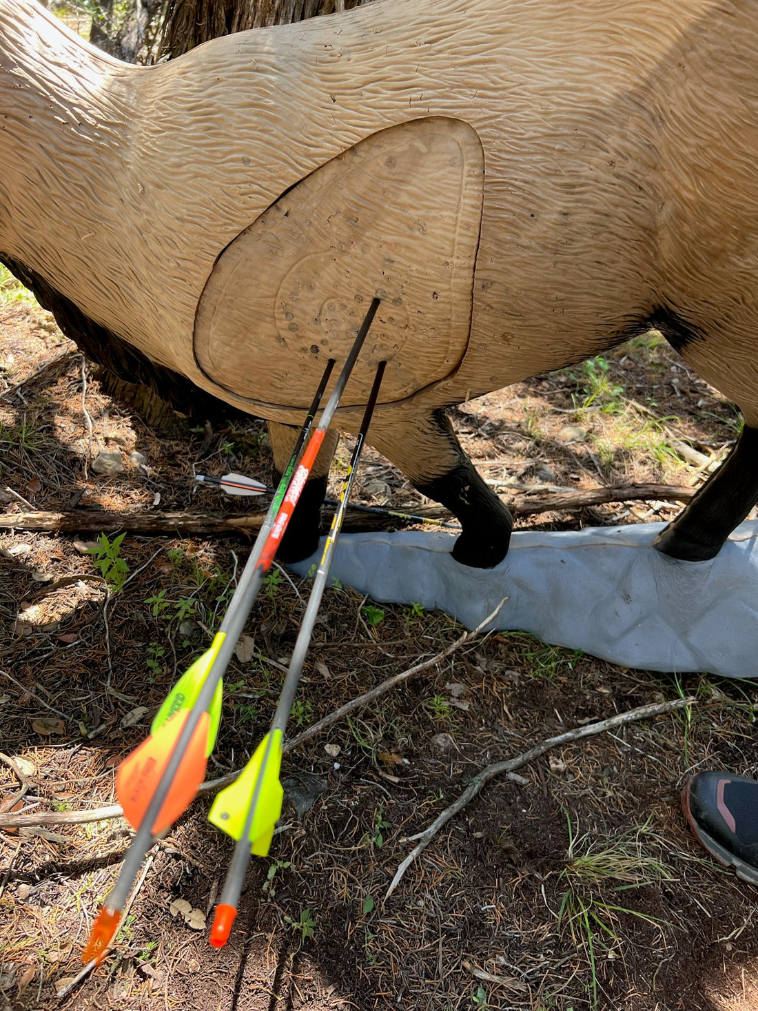 Dialed In or Dead Weight: Why the Summer Range Makes or Breaks Your Season