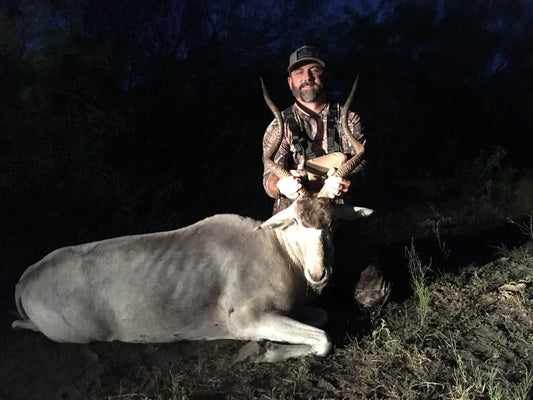 🔥 Welcome to American Archery & Bowhunting: Gear Up. Draw Back. Let Fly.